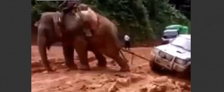 Zapadnete-li s off-roadem v bahně, povolejte si na pomoc slona
