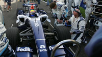 Williams v Bahrajnu 2006