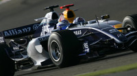 Williams v Bahrajnu 2006