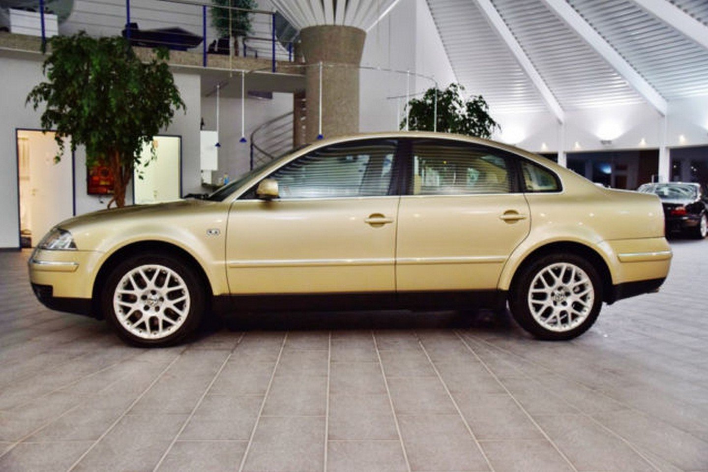 Neobvyklá je i zlatá metalíza, Volkswagen Passat W8.