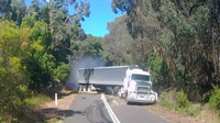 Řidič kamionu přehlédl spadlý strom na silnici