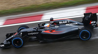 Fernando Alonso v kvalifikaci v Číně