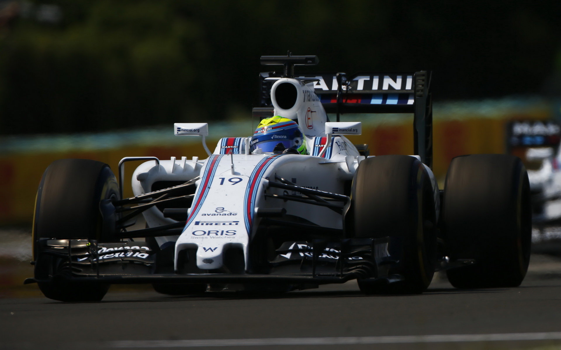 Felipe Massa v závodě v Maďarsku