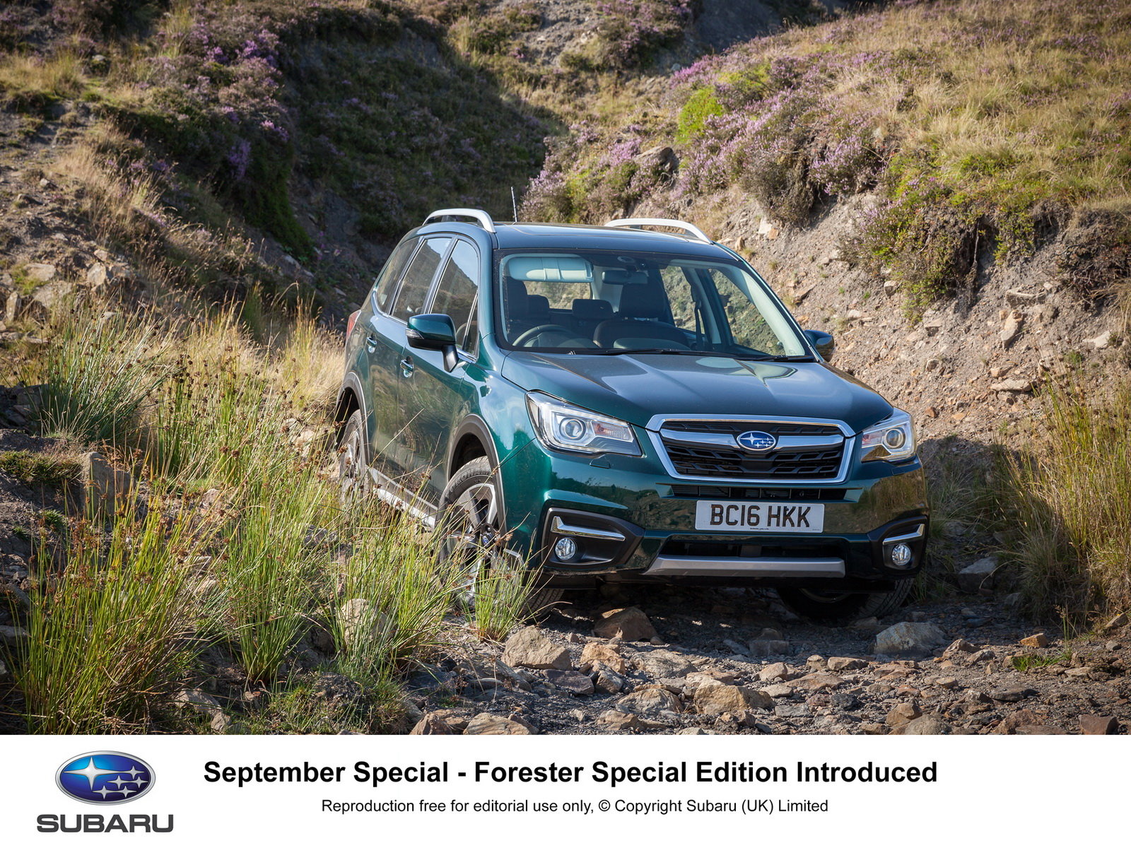 Subaru Forester v nové speciální edici pro myslivce