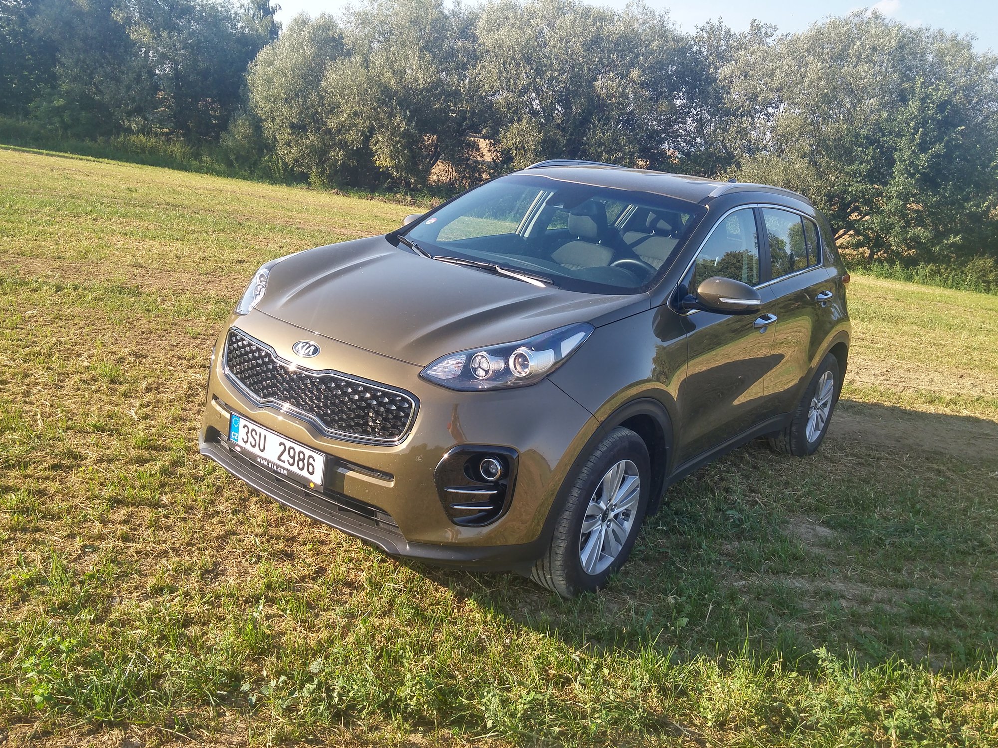 kia sportage