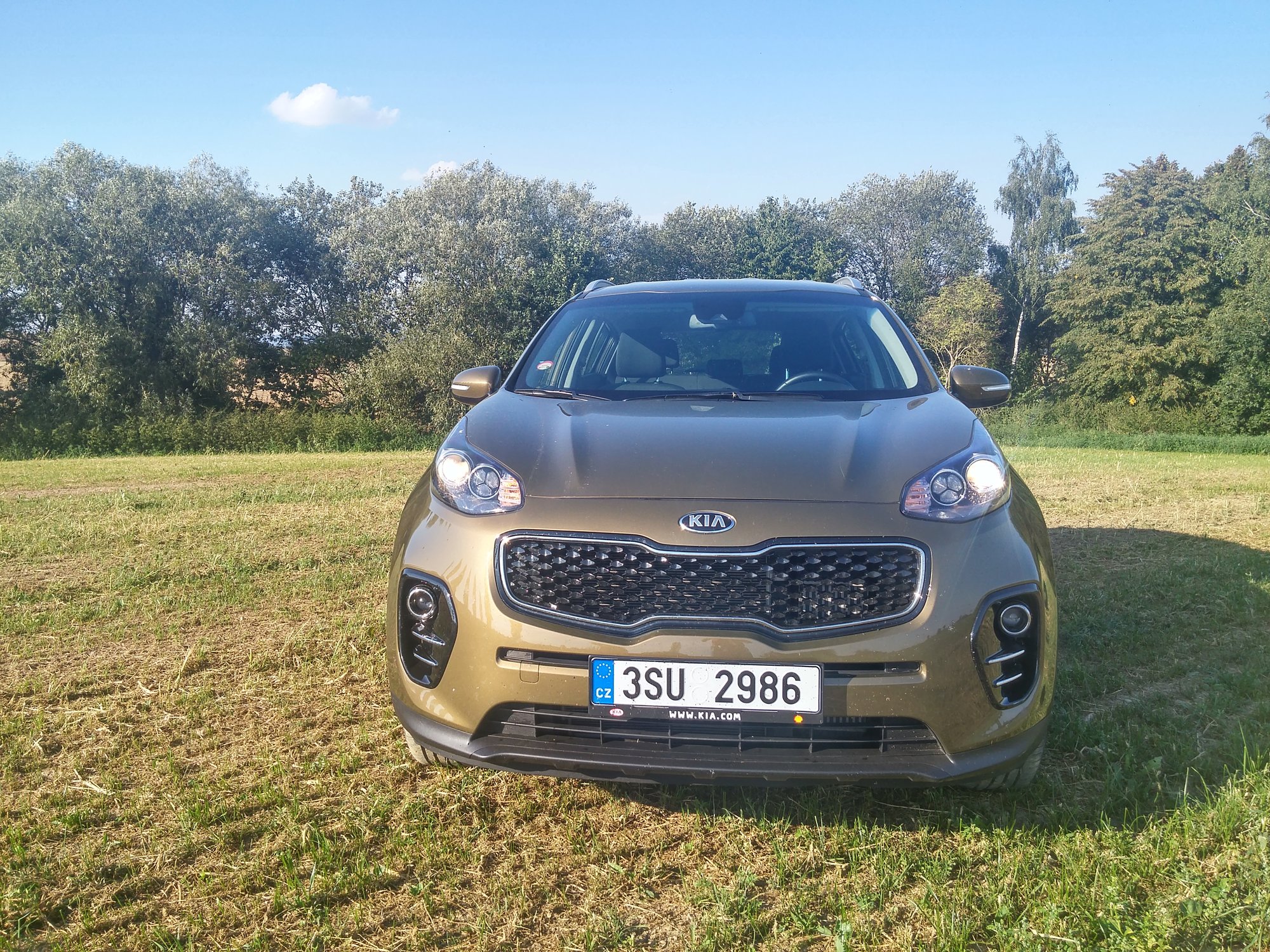 kia sportage