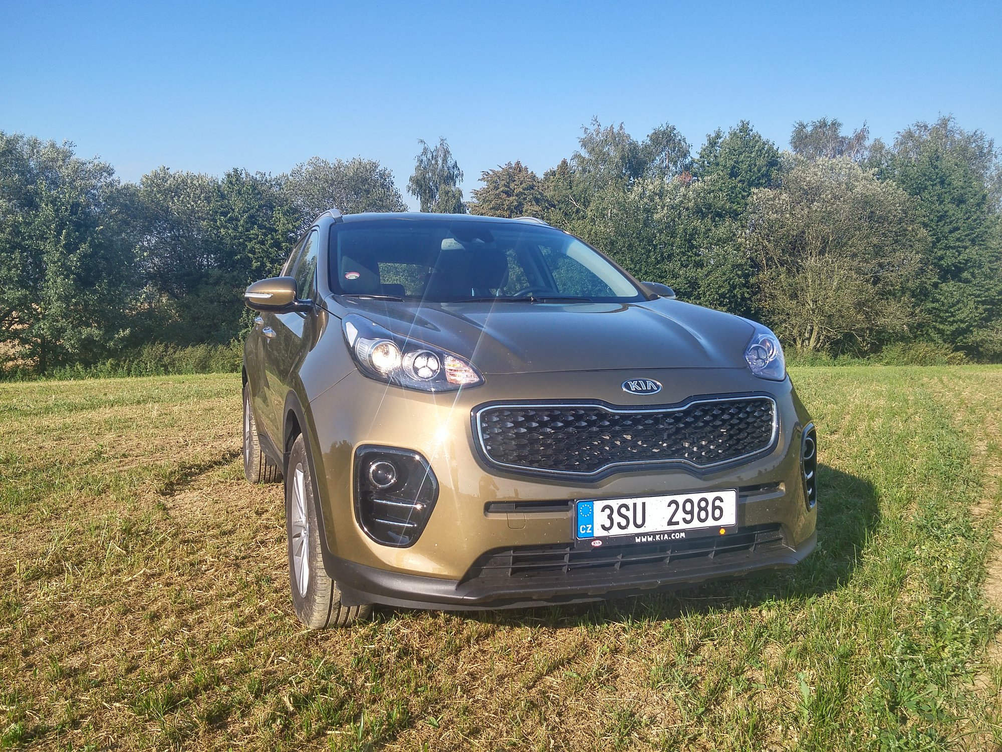 kia sportage