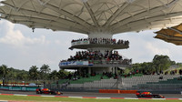Daniel Riccciardo a Max Verstappen v závodě v Malajsii