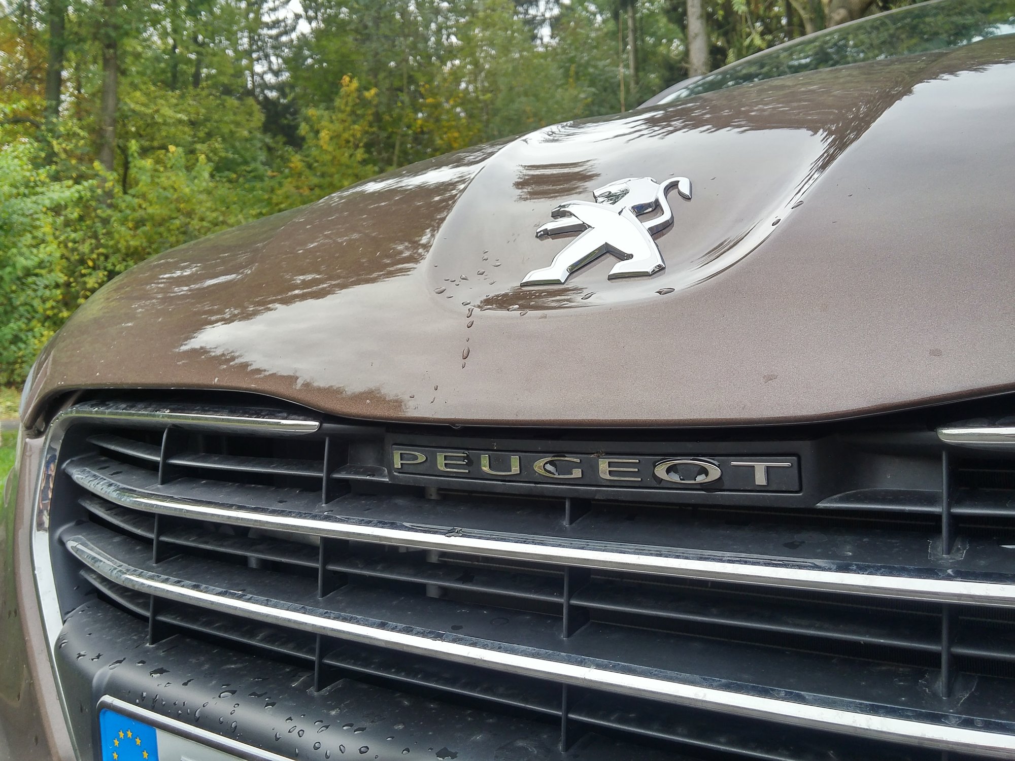 peugeot 301