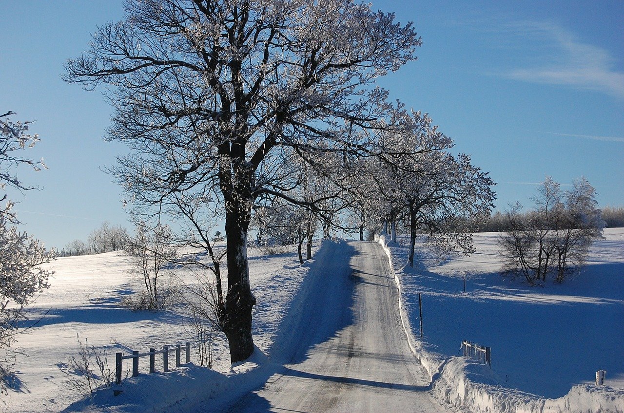 Namrzlé silnice
