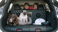 NISSAN X-TRAIL 4Dogs