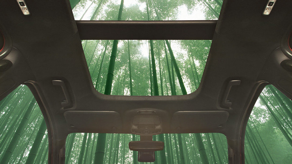Ford experimentuje s použitím bambusu