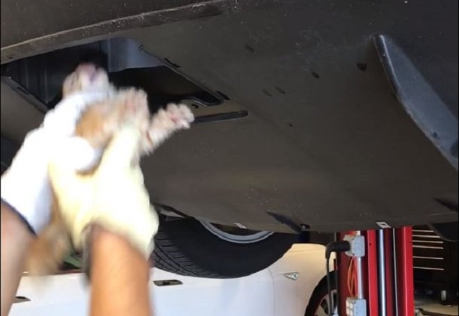 Kotě uvízlo v zadním nárazníku Tesly Model X