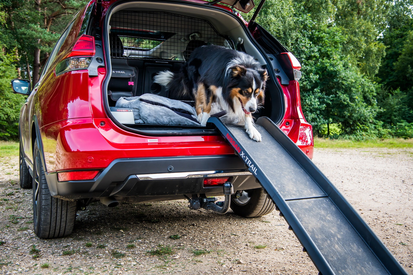 Nissan X-Trail "Paw Pack"