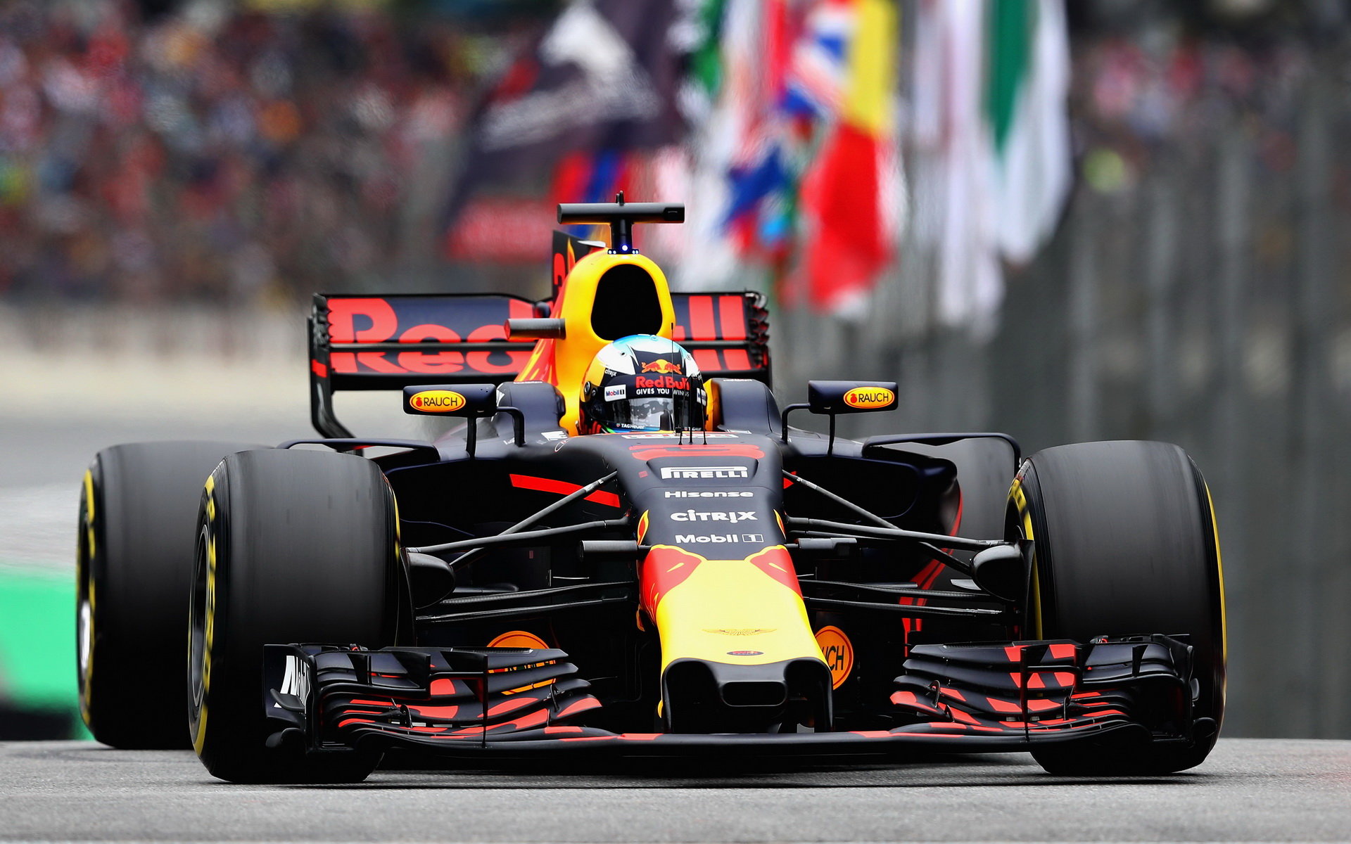 Daniel Ricciardo v kvalifikaci v Brazílii