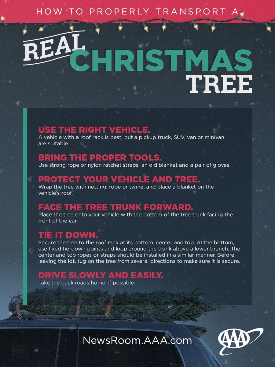 Bezpečná přeprava vánočního stromku