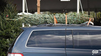 Bezpečná přeprava vánočního stromku