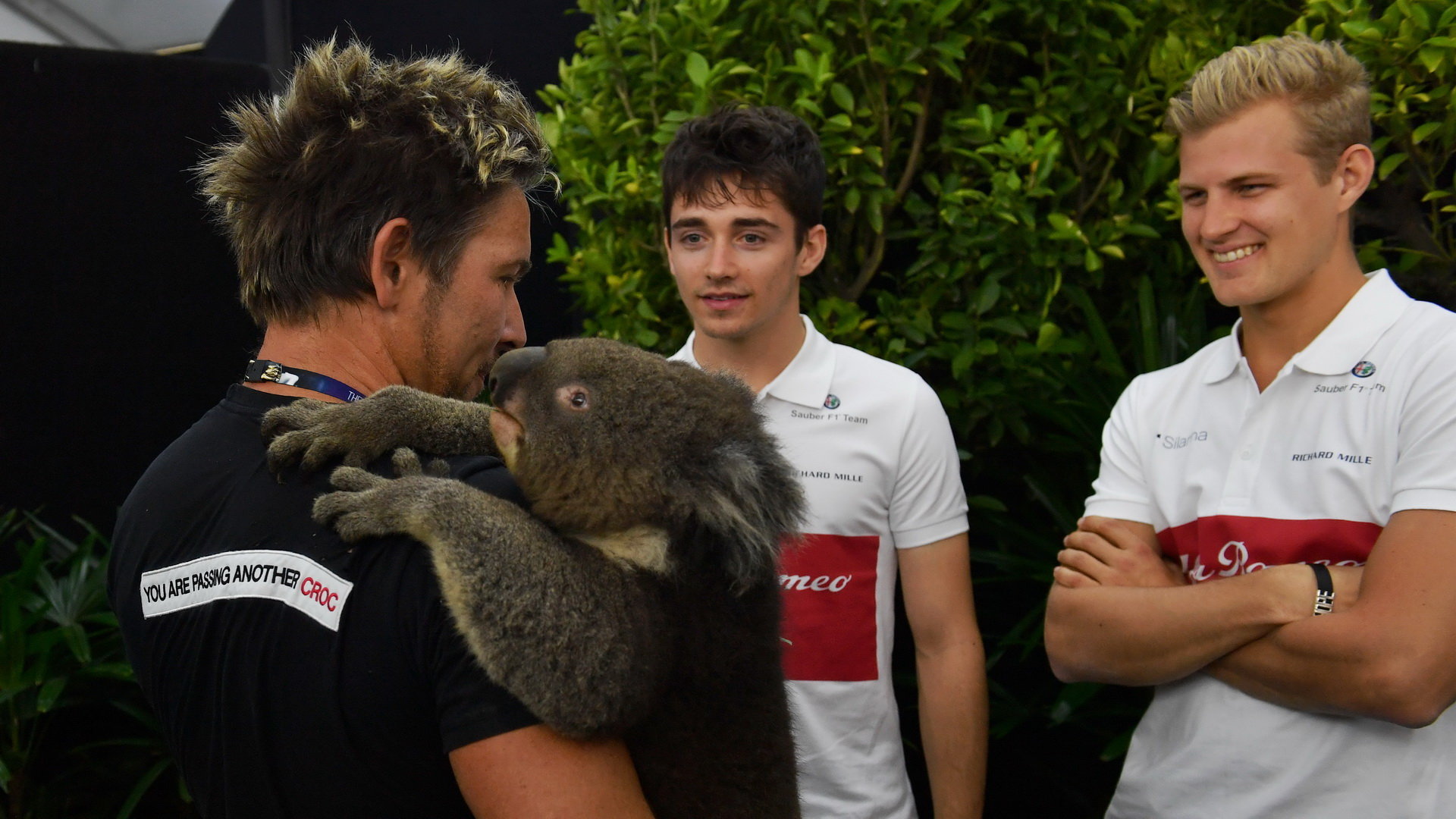 Charles Leclerc a Marcus Ericsson v ZOO v Melbourne v Austrálii