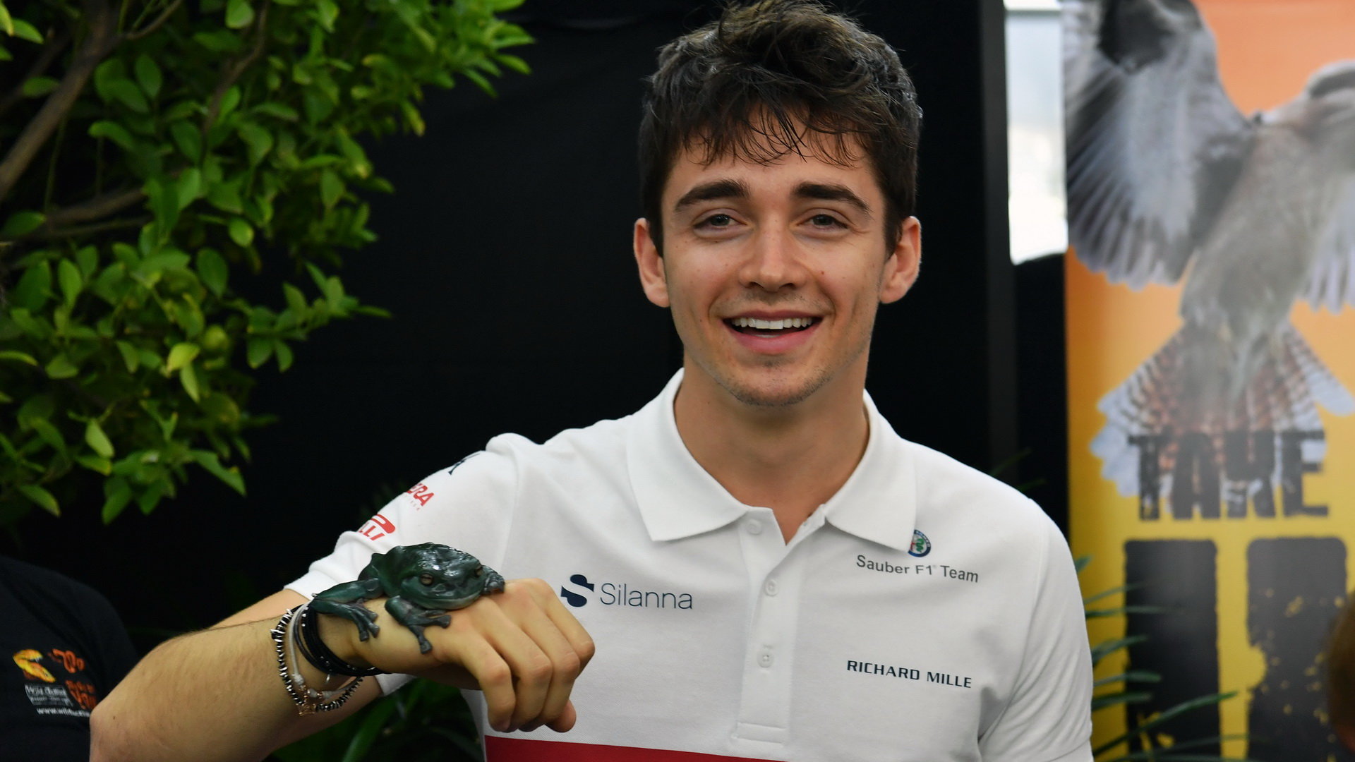 Charles Leclerc v ZOO v Melbourne v Austrálii