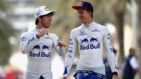 Pierre Gasly a Brendon Hartley v Bahrajnu