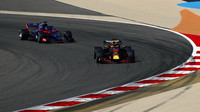 Daniel Ricciardo a Brendon Hartley v kvalifikaci v Bahrajnu
