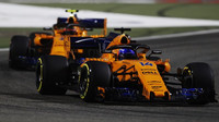 Fernando Alonso a Stoffel Vandoorne v tréninku v Bahrajnu