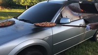 Francouzský umělec Benedetto Bufalino přeměnil starý automobil na pec k přípravě pizzy