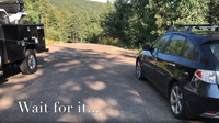 Medvěd uvězněný v Subaru po sobě zanechal pořádnou paseku