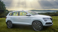 Kromě čtyř vozů Škoda Rapid Spaceback pro papeže byl pro účely Světového setkání rodin poskytnut také speciální vůz Škoda Karoq. Toto SUV, vystavené po celou dobu akce, bylo opatřeno ručně vyrobenými vitrážovými okny, jaká jsou lidé zvyklí vídat v kostelích