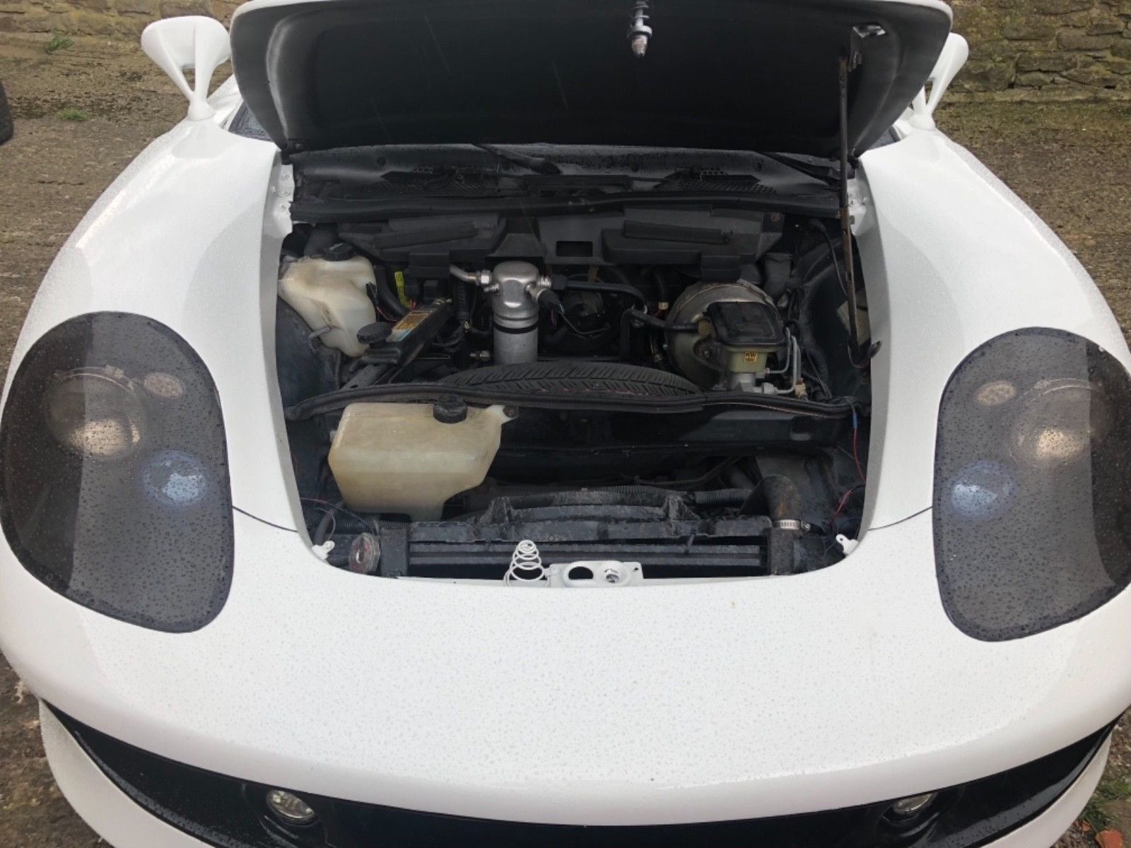 Nepříliš zdařilá replika Porsche Carrera GT, postavená na základech Pontiacu Fierro, baví internet