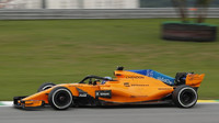 Fernando Alonso v závodě v Brazílii