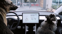 Tesla do svých modelů přidala tzv. Dog Mode
