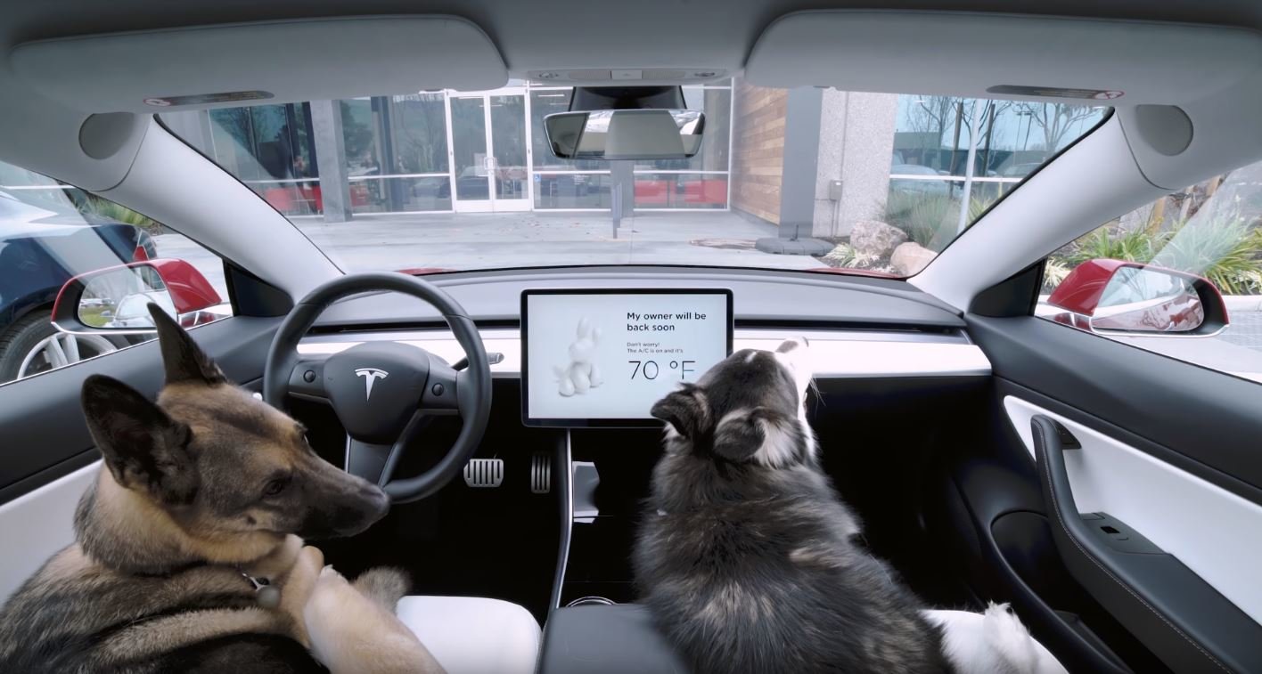 Tesla do svých modelů přidala tzv. Dog Mode