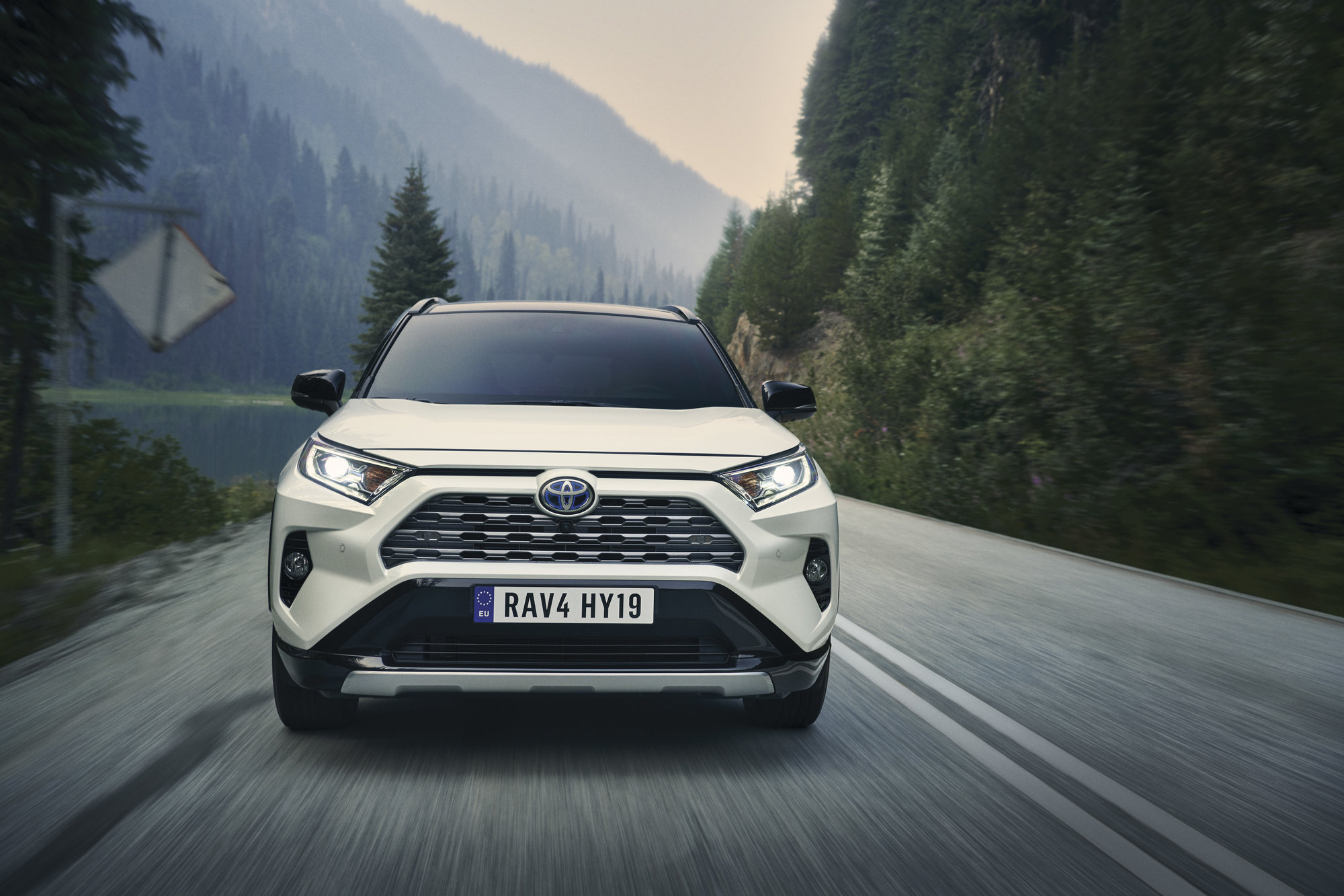 Toyota RAV4 2019