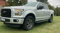 HoppyGo Ford F-150