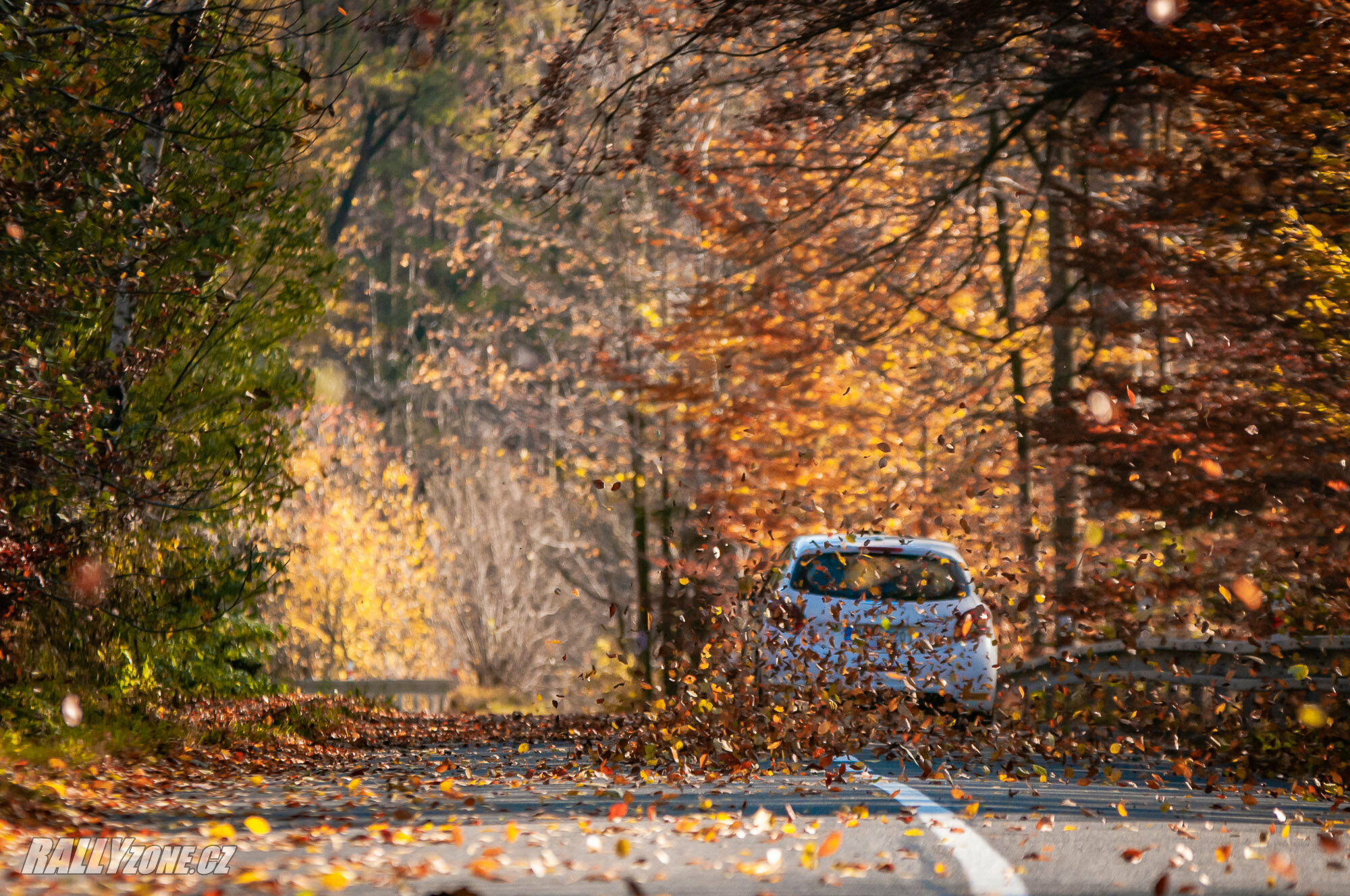 Rally Vsetín (CZE)