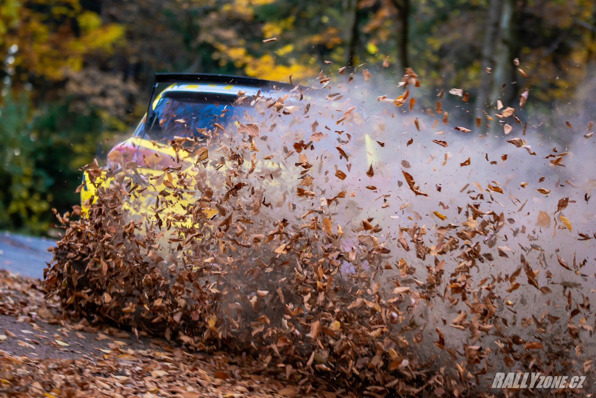 Rally Vsetín (CZE)