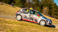 Rally Vsetín (CZE)