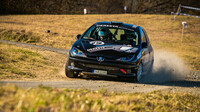 Rally Vsetín (CZE)