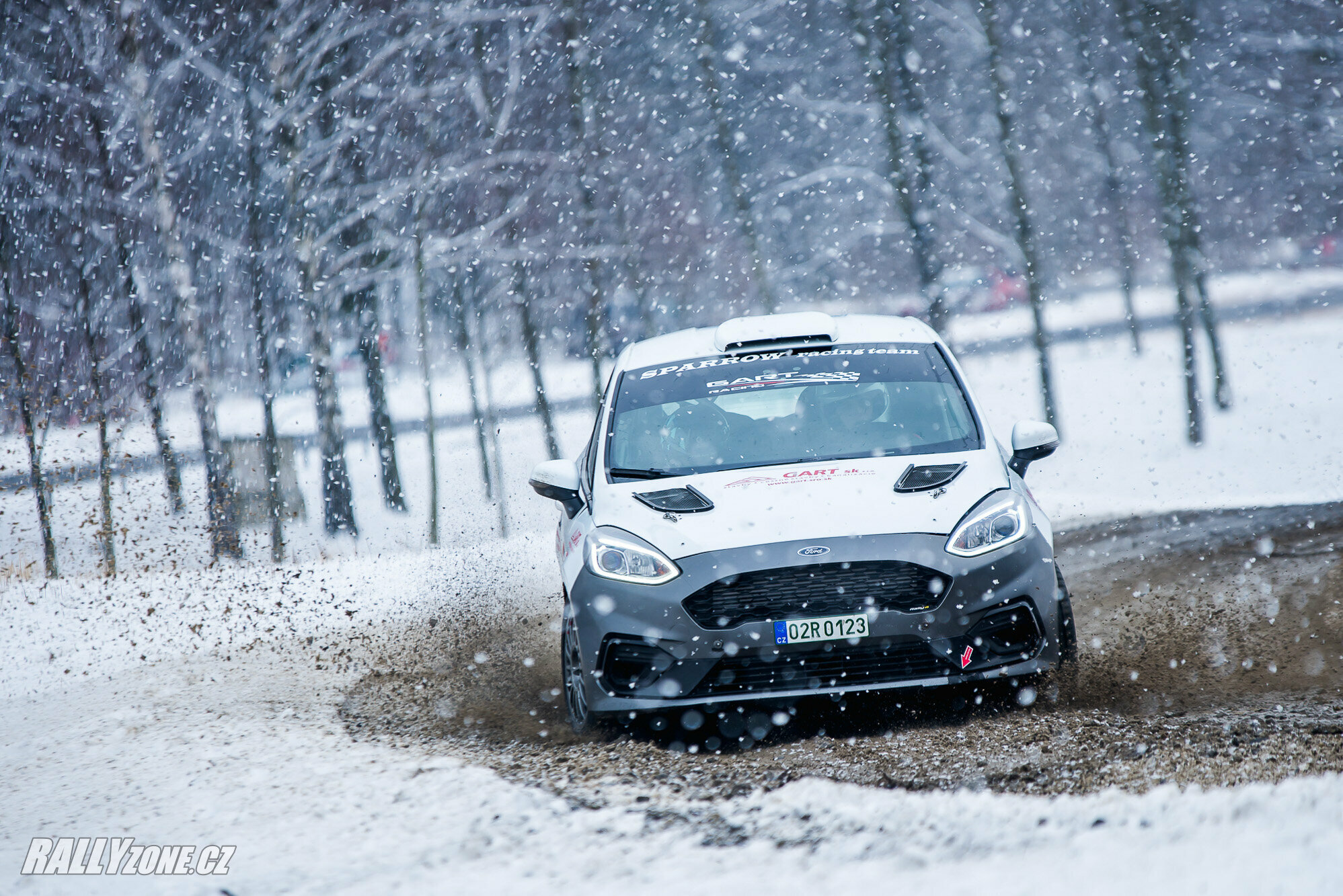 Rentor RallyCup Kopřivnice - březen