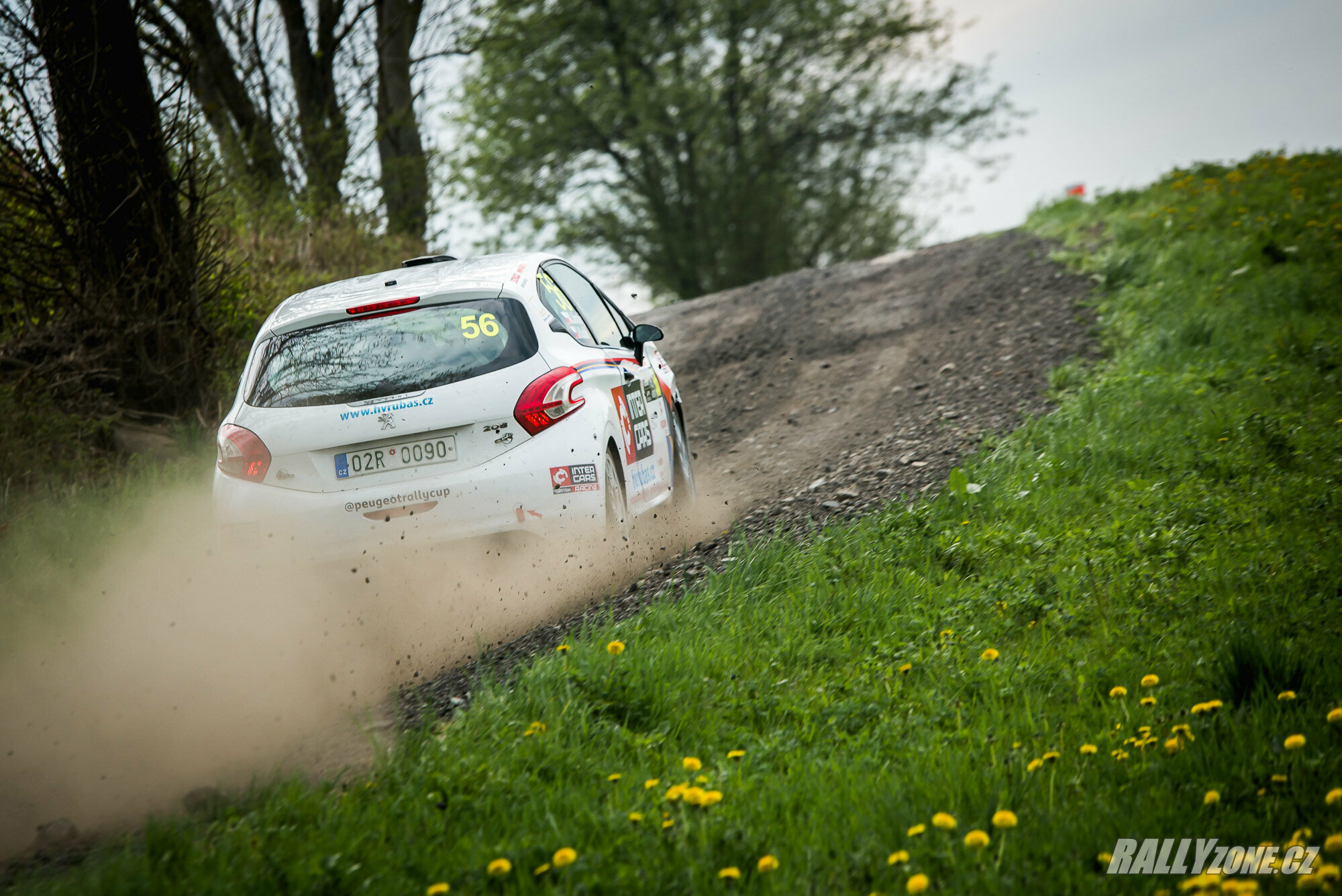 Rally Šumava (CZE)