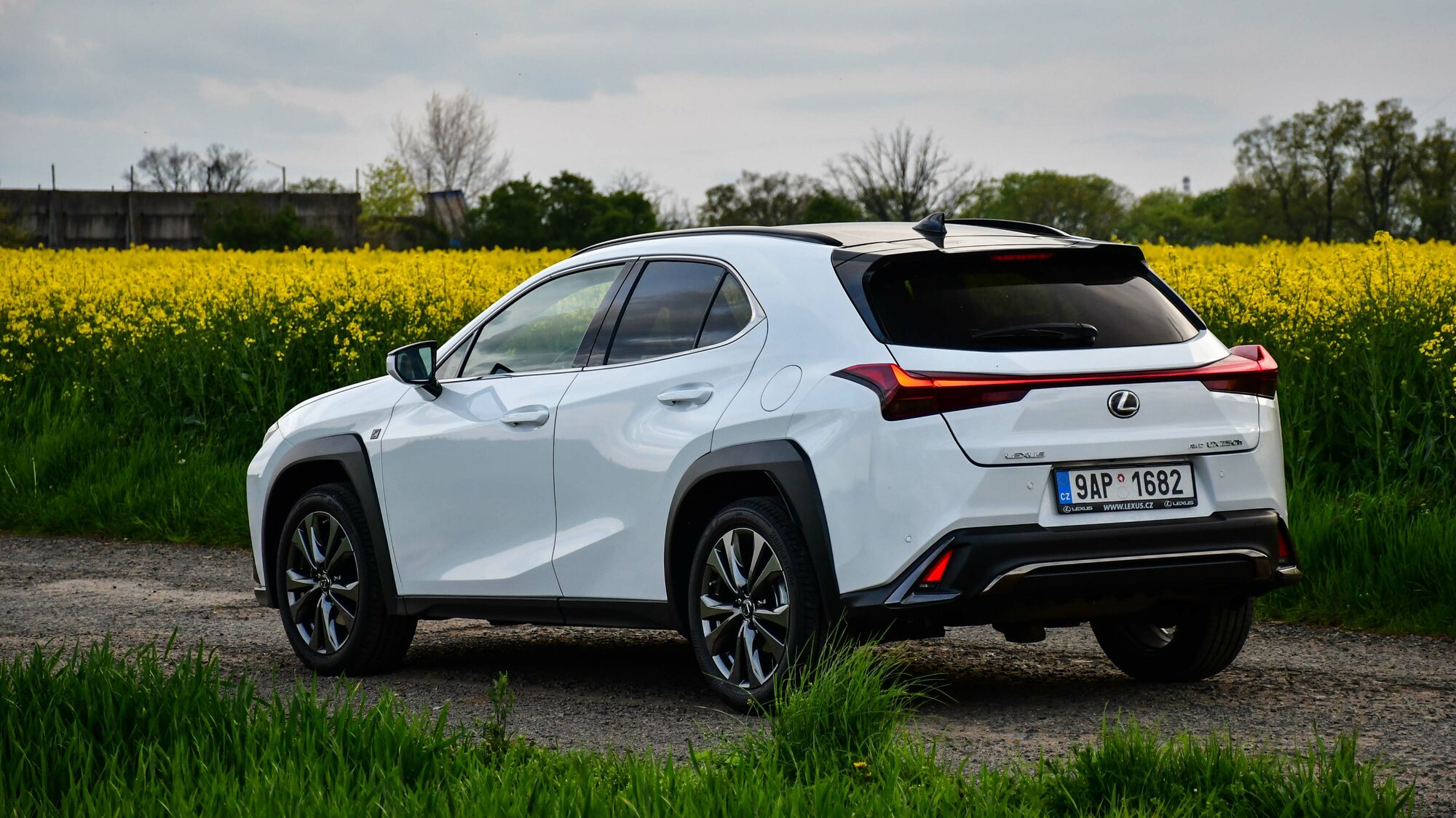 Lexus UX 250h