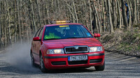 Rallysprint Halenkovice (CZE)