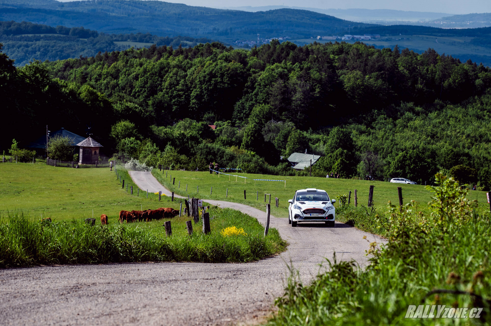 Rally Kopná (CZE)