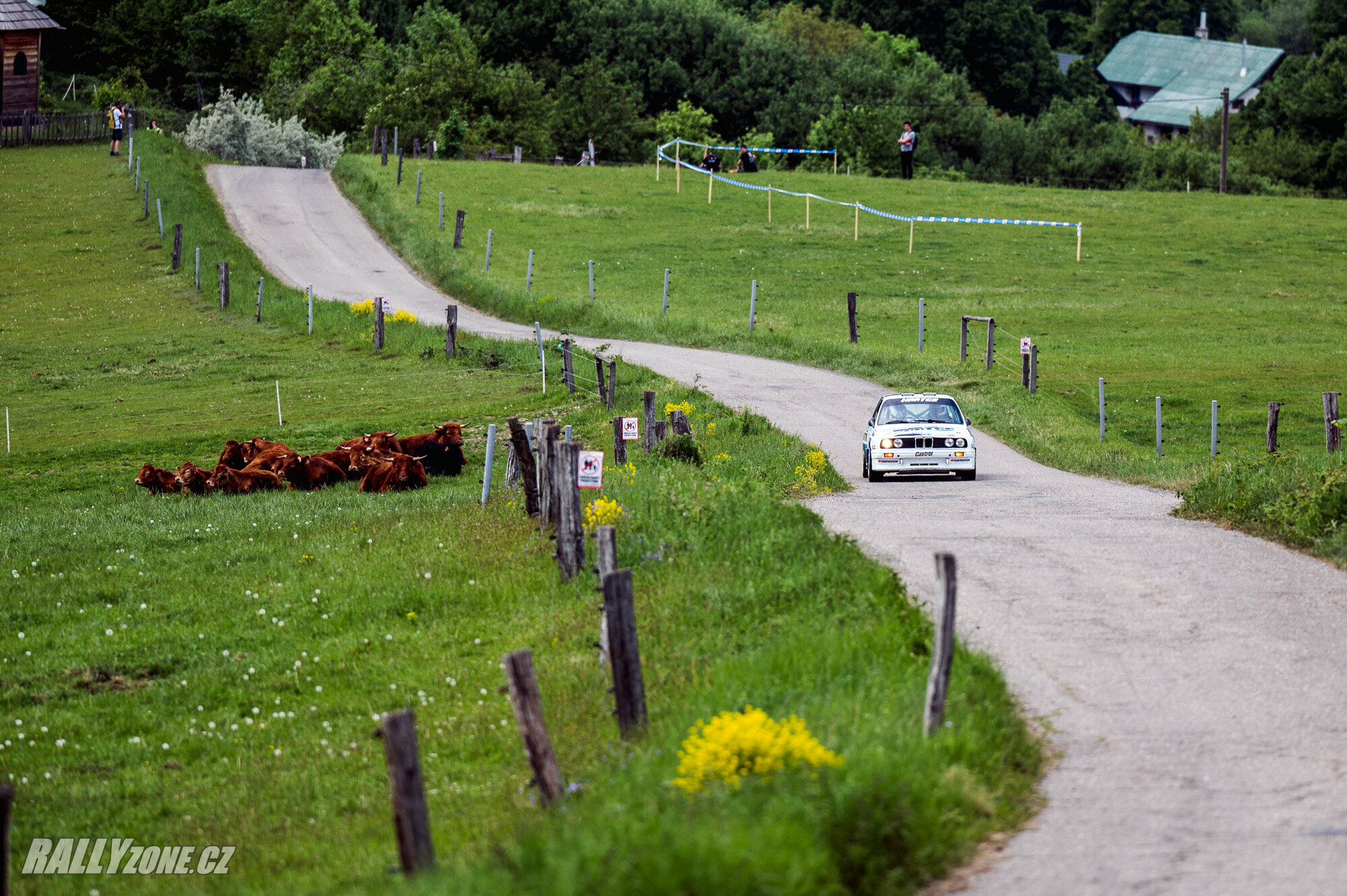 Rally Kopná (CZE)