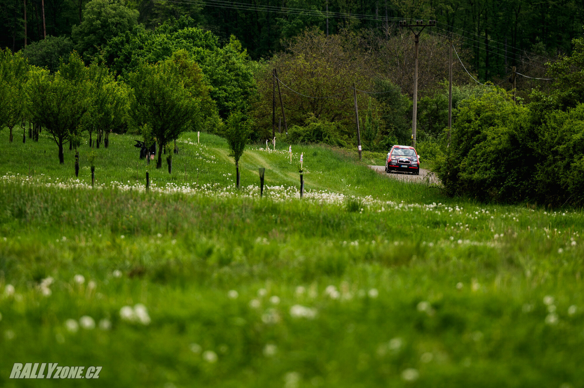 Rally Kopná (CZE)