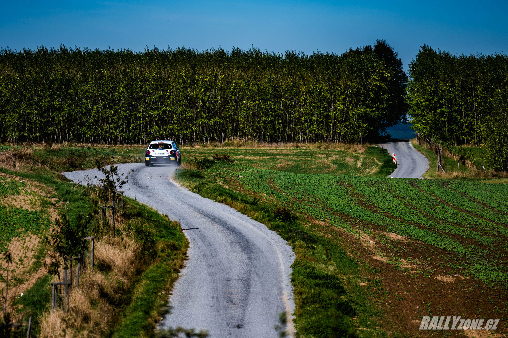 Rally Pačejov (CZE)