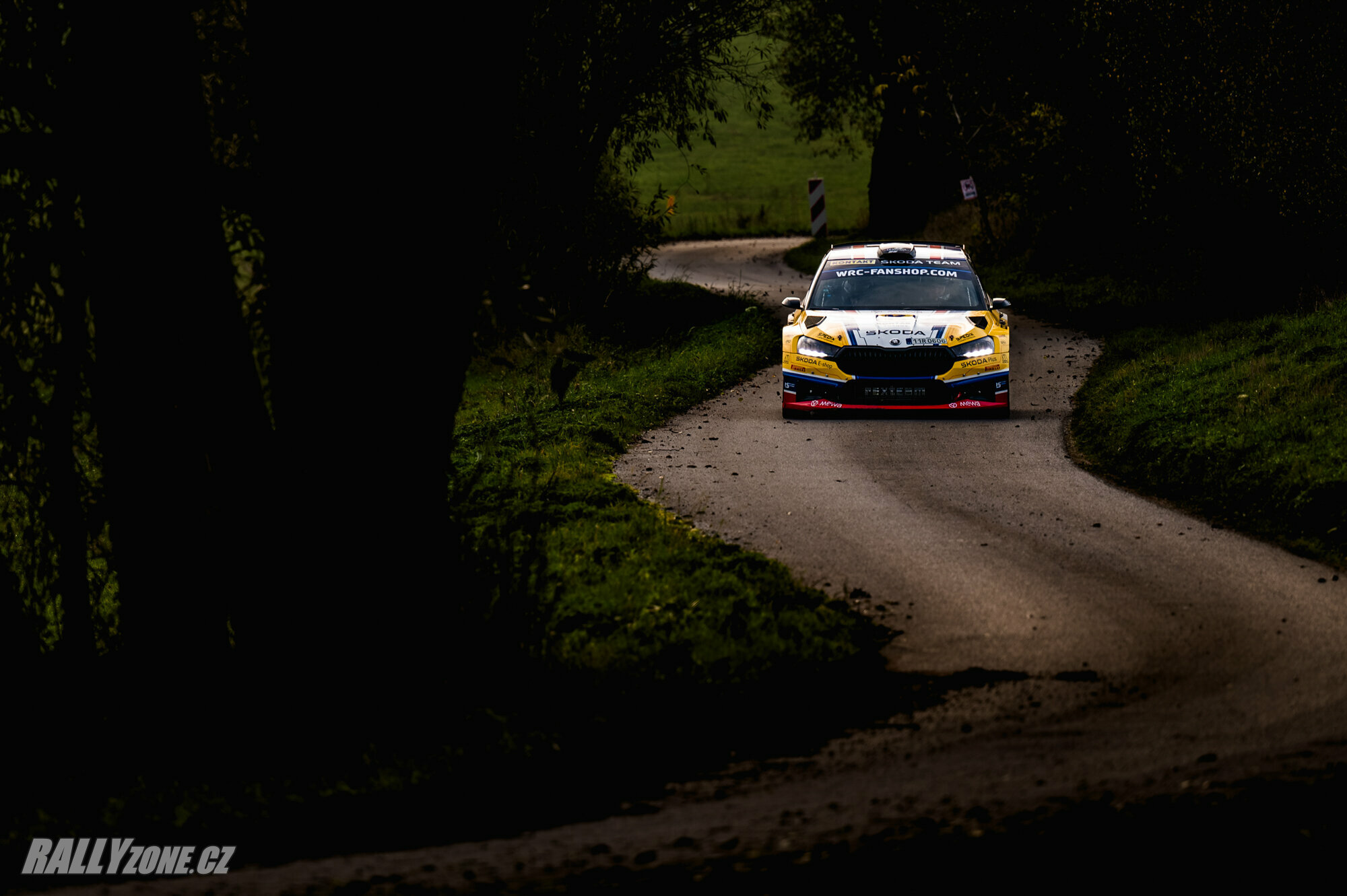 Central European Rallye (CER)