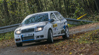 Rally Fulnek - Odry (CZE)