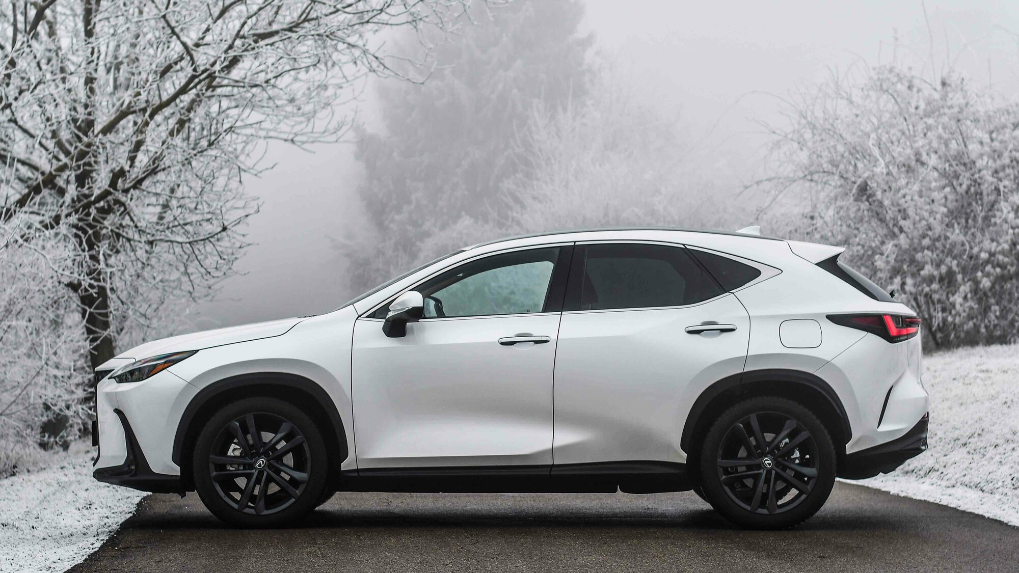 Lexus NX 450h+